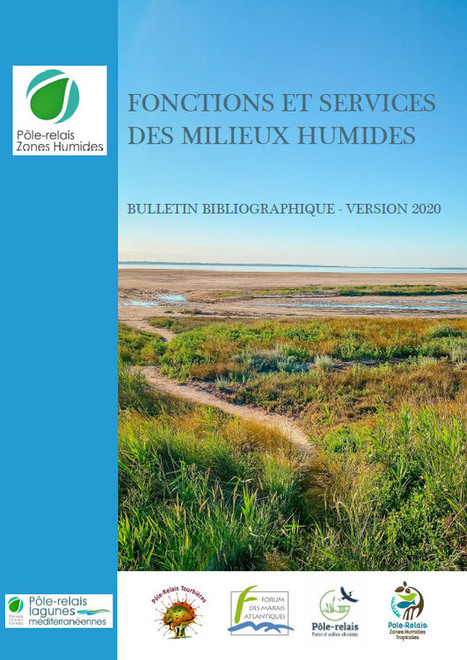 Bulletin bibliographique "Fonctions et services des milieux humides" | Biodiversité | Scoop.it