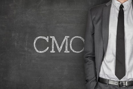 Hire an interim cmo | CXO.Care | Scoop.it