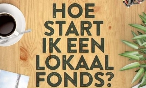 Stichting Lokale Fondsen Nederland | Crowdfunding, crowdsourcing, financiering, cocreatie, coöperatie, microkrediet etc. | Scoop.it