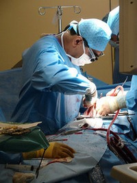 Mitraclip as an Alternative to Mitral Valve Replacement - PRIVATE ... | Transcatheter Treatment of Mitral Regurgitation | Scoop.it