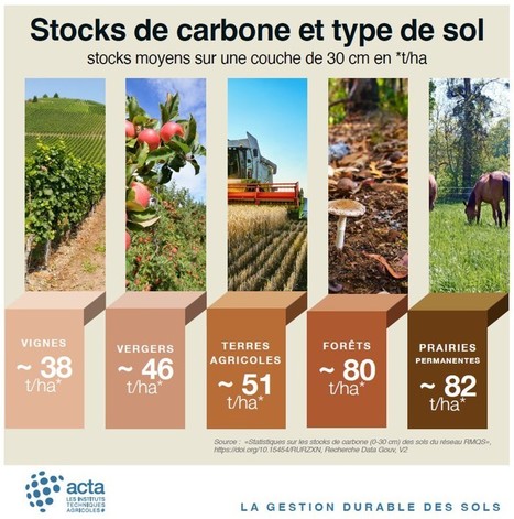 Stock de carbone & type de sol | Lait de Normandie... et d'ailleurs | Scoop.it