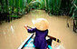 Compfight : buscador de im&aacute;genes libres en Flickr | Recursos educativos Creative Commons | Scoop.it