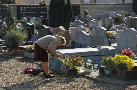 Val-d’Oise : les communes prêtes à enterrer le glyphosate au cimetière | Les Colocs du jardin | Scoop.it