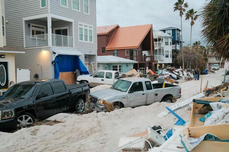 First Helene Then Milton: Navigating Disasters In Single Family Offices | Family Office & Billionaire Report - Empowering Family Dynasties | Scoop.it