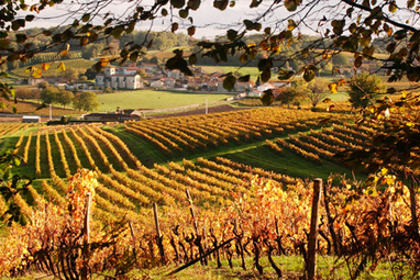 les viticulteurs veulent des garanties pour investir - Lavigne-mag | Le Cognac et son vignoble | Scoop.it