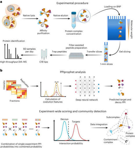 DIP-MS: ultra-deep interaction proteomics for t...