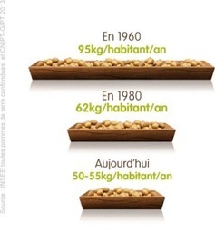 Communication collective générique - CNIPT PRO | Pommes de terre transformées | Scoop.it