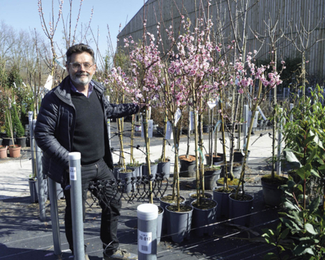 En pleine floraison, Promesse de Fleurs plante ses graines à l’export | Distribution - Innovation | Scoop.it