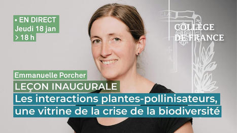 Leçon inaugurale d'Emmanuelle Porcher au Collège de France - 18/01/2024 | Variétés entomologiques | Scoop.it