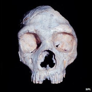 Last Neanderthal population existed in Southern Spain as recently as 35,000 years ago | Amazing Science | Scoop.it