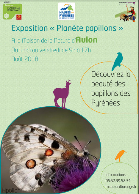 Exposition sur les papillons à la Maison de la Nature d'Aulon | Vallées d'Aure & Louron - Pyrénées | Scoop.it