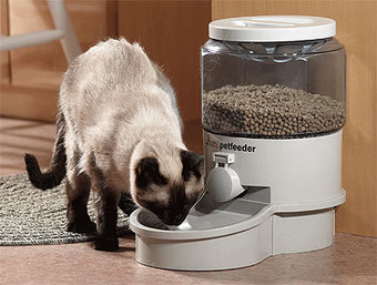 Timed Cat Feeder Automatic Pet Feeder Scoo