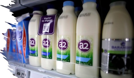 A2 Milk bientôt autorisé à vendre du lait maternisé aux États-Unis ? | Lait de Normandie... et d'ailleurs | Scoop.it