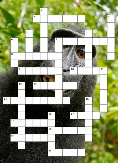 Here's a festive crossword puzzle about 2014's IP and copyright news | consumer psychology | Scoop.it