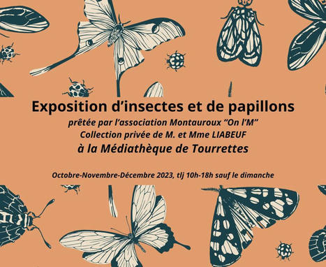 Exposition insectes et papillons &agrave; Tourrettes (83) | Vari&eacute;t&eacute;s entomologiques | Scoop.it