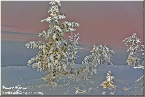 Talvi luonnossa - hiljaista siet&auml;mist&auml;! | 1Uutiset - Lukemisen t&auml;hden | Scoop.it