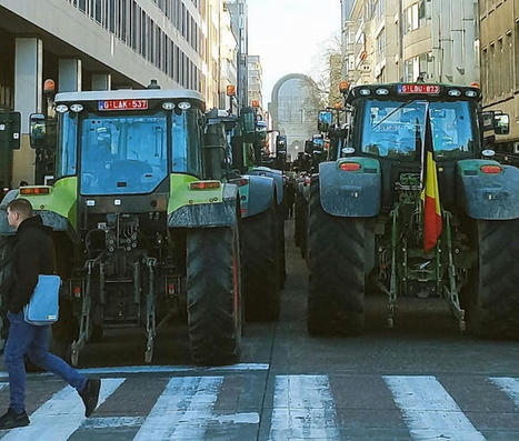 Colère des AGRICULTEURS européens : traiter l’origine des maux pour éviter la polarisation | CIHEAM Press Review | Scoop.it