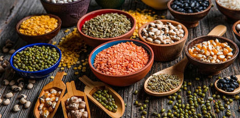Haricots, soja, pois, lentilles… profiter des légumineuses sans risques ni inconforts | IPCI : Ingénierie de Produits à l'interface Cuisine-Industrie | Scoop.it