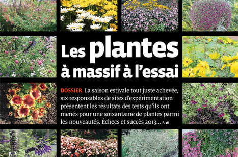 Dossier à télécharger : Les plantes à massif à l'épreuve du terrain | HORTICULTURE | Scoop.it