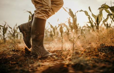Soil erosion: Why fertile earth is being degraded and lost | Stage 5 Sustainable Biomes | Scoop.it
