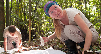 Young Scientist asks, "Does Chopping Down Forests Spread Lyme Disease?" | Rainforest CLASSROOM | Scoop.it