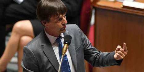 Perturbateurs endocriniens : le gouvernement publie deux listes de pesticides | Prévention du risque chimique | Scoop.it