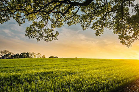 Loi n° 2023-630 du 20 juillet 2023 visant à faciliter la mise en œuvre des objectifs de lutte contre l’artificialisation des sols et à renforcer l’accompagnement des élus locaux | ZAN - Zéro artificialisation nette | Scoop.it