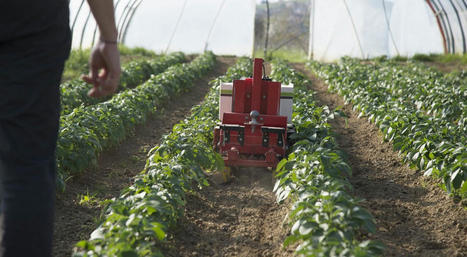 Premier guichet de soutien à l’acquisition d’équipements innovants - Ministère de l'Agriculture et de l'Alimentation | Pour innover en agriculture | Scoop.it