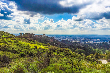 NLC Launches Local Climate Solutions Engagement Program | Energy Transition in Europe | www.energy-cities.eu | Scoop.it