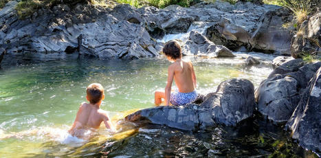 Bactéries, virus… Quels sont les risques à nager en piscine ou en eaux vives ? | water news | Scoop.it