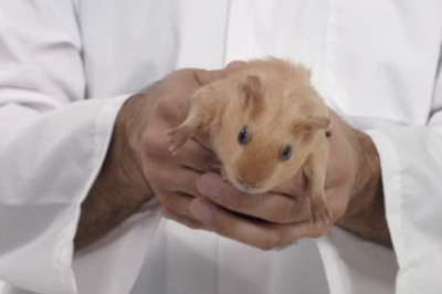 L&rsquo;hilarante publicit&eacute; canadienne pour lutter contre le cancer des testicules (vid&eacute;o) | Sant&eacute;, m&eacute;decine, sexualit&eacute; et culture g&eacute;n&eacute;rale | Scoop.it