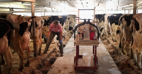Major dairy farm now required to monitor groundwater quality | News From The States | Industry 411 - Waste Management | Scoop.it