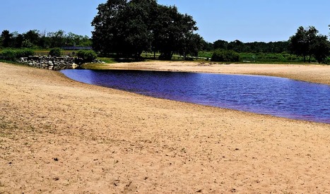 FRENCH FARMERS Feel Impacts of Worsening Drought | CIHEAM Press Review | Scoop.it