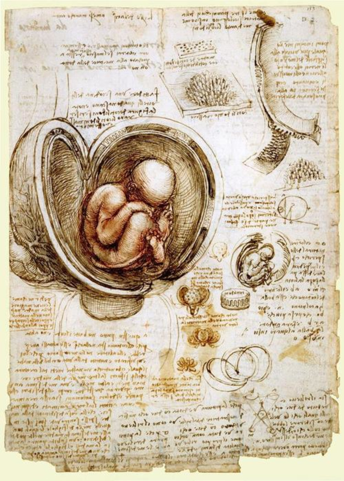 The Early Modern Womb | Herstory | Scoop.it
