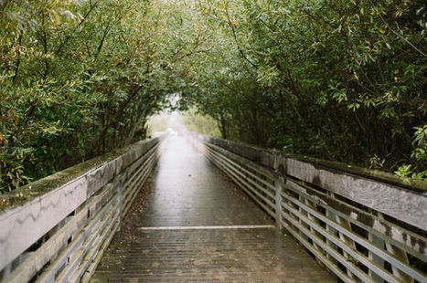 Turn Empathy Into Compassion Without the Empathic Distress | Empathy Movement Magazine | Scoop.it