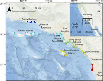 Frontiers | Interannual Nearshore Habitat Use of Young of the Year White Sharks Off Southern California | Marine Science | Soggy Science | Scoop.it