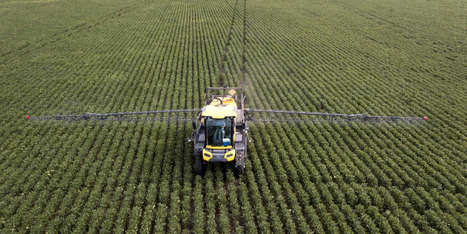 L’Argentine devient le premier pays à autoriser la production et la commercialisation du blé OGM | Questions de développement ... | Scoop.it