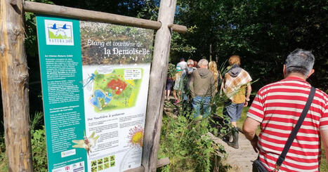 Thi&eacute;fosse : une soir&eacute;e spectacle sur la restauration des tourbi&egrave;res vosgiennes jeudi 24 septembre | Vosges Matin | La SELECTION du Web | CAUE des Vosges - www.caue88.com | Scoop.it