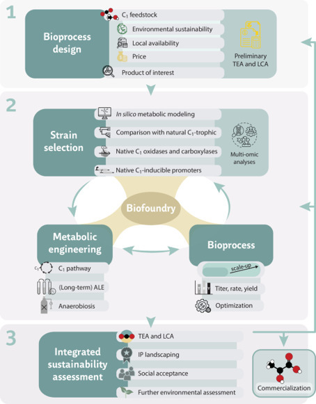 A blueprint for designing the next-generation of synthetic C1 microbes | Ncm | RMH | Scoop.it