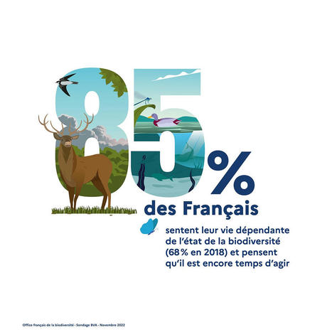 Perception de la biodiversité par les Français | ECOLOGIE - ENVIRONNEMENT | Scoop.it