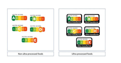 Le Nutri-Score, un outil de lutte contre la malbouffe ? | CORPS GRAS | Scoop.it