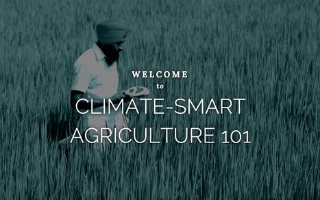 Guide de l’Agriculture intelligente face au climat en Afrique | AFRIQUES | Scoop.it