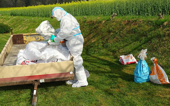 Eyres-Moncube&nbsp;: face aux d&eacute;chets amiant&eacute;s, une mobilisation efficace du Sietom de Chalosse | Landes - Conseils municipaux & communautaires | Scoop.it