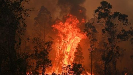 The 'arson emergency' trending amid Australia's bushfire crisis is actually not a thing | Coastal Restoration | Scoop.it