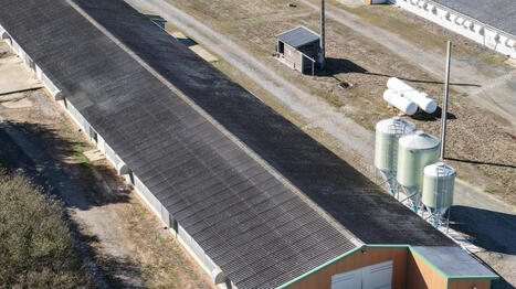 Stocker l&rsquo;eau, &eacute;lever plus de poulets&hellip; Comment les Pays de la Loire vont faire &laquo; acc&eacute;l&eacute;rer &raquo; les projets agricoles - Ouest France [Abonn&eacute;s] | Agriculture en Pays de la Loire | Scoop.it