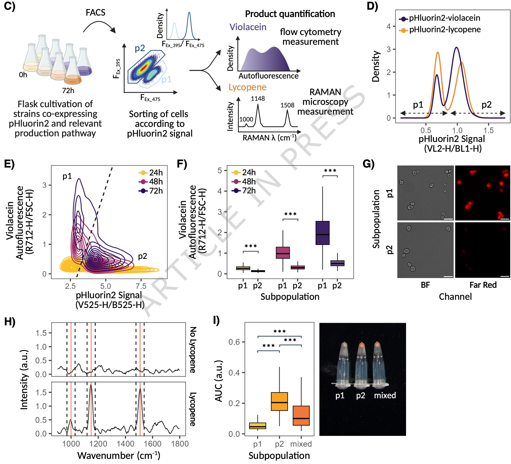 Single cell profiling framework reveals metabol...