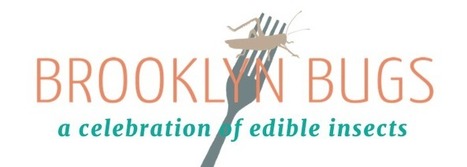 Brooklyn Bugs  | ArtTechFood | Scoop.it