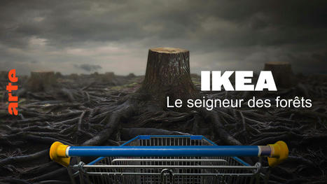 Ikea, le seigneur des forêts | Arte | La SELECTION du Web | CAUE des Vosges - www.caue88.com | Scoop.it