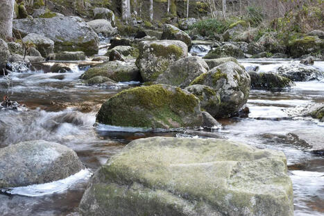 Gestion de l’eau : la Chambre d’agriculture des Hautes-Pyrénées appelle à agir sans attendre | Vallées d'Aure & Louron - Pyrénées | Scoop.it