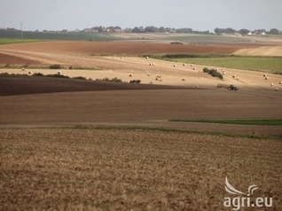 Mix of farming technologies could significantly improve global food security | Food & Nutrition Security in East Africa | Scoop.it